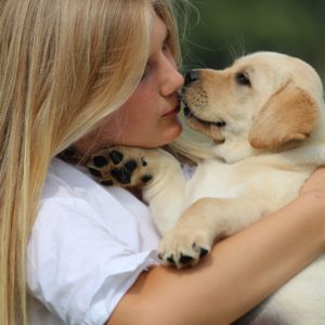 Victor Victoria's Labradors